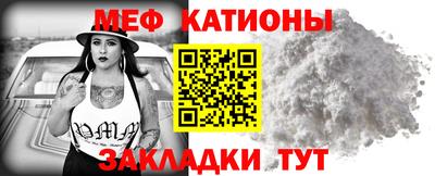 шишки Дубна