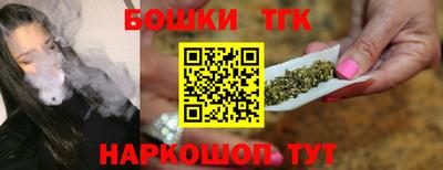 шишки Дубна