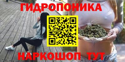 ПСИЛОЦИБИНОВЫЕ ГРИБЫ Донской