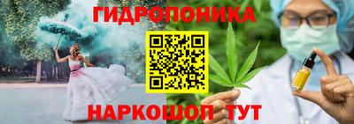 шишки Дубна