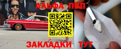 шишки Дубна