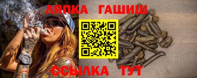шишки Дубна