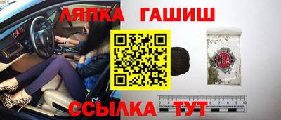 шишки Дубна