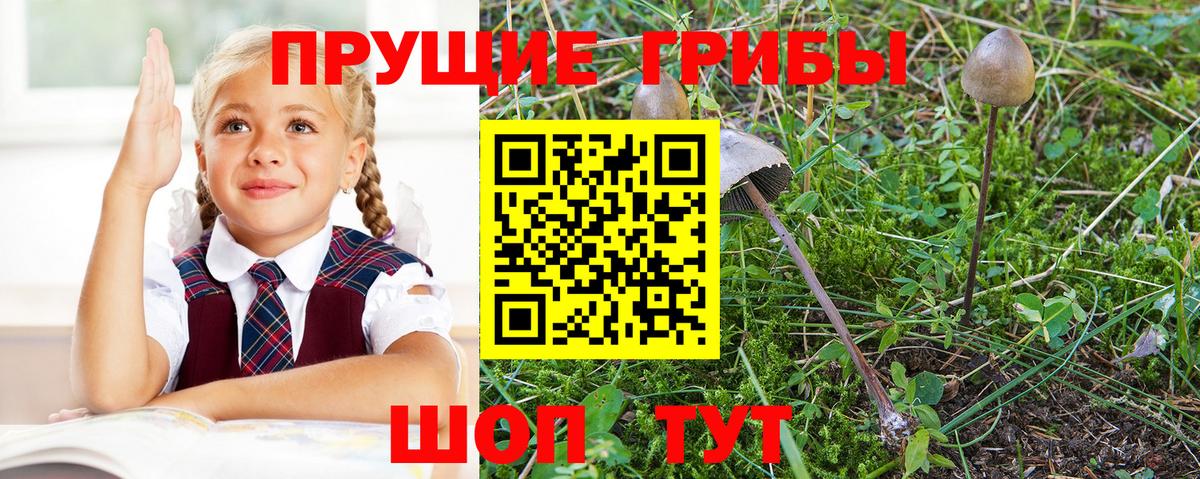 Галлюциногенные грибы Magic Shrooms  Галлюциногенные грибы мицелий  Вход с VPN  Нальчик 